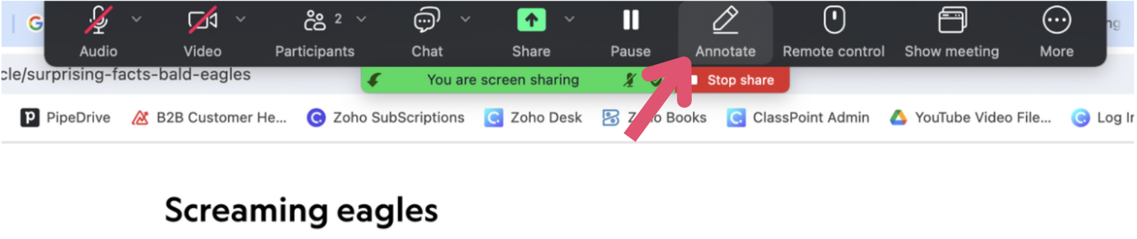 How to annotate on Zoom